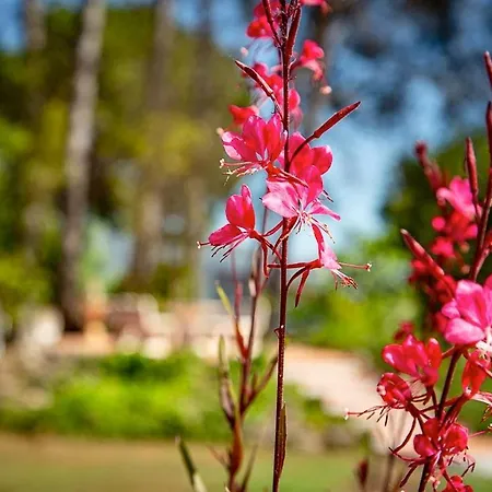 Bed and breakfast Finca Soñada - Nudist