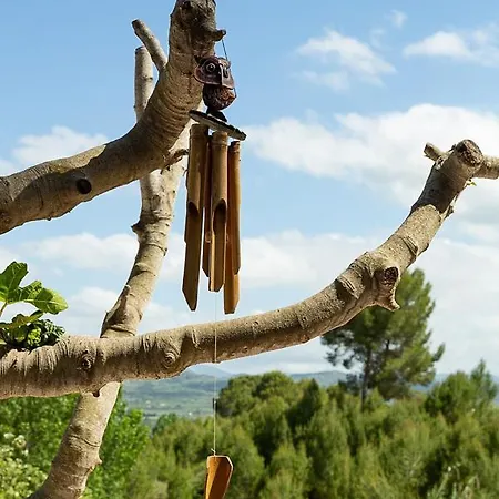 Bed and breakfast Finca Soñada - Nudist *